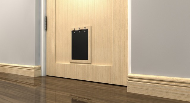 Cat Flap Installation Bermondsey, Borough, Southwark, SE1